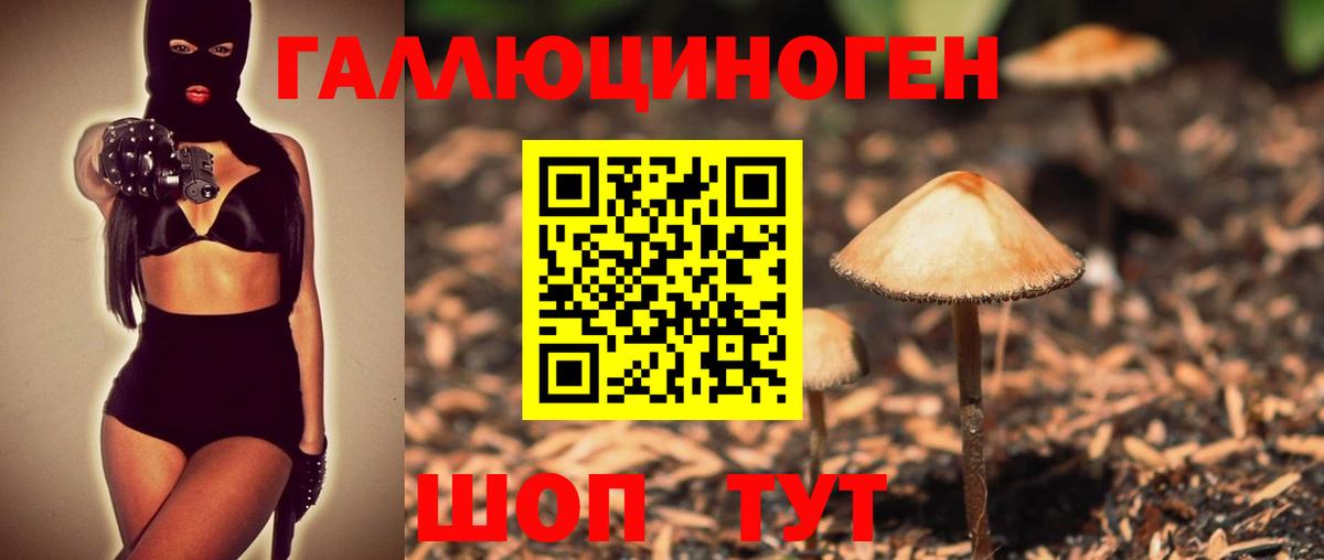 Галлюциногенные грибы мицелий  Вход с VPN  Гурьевск 