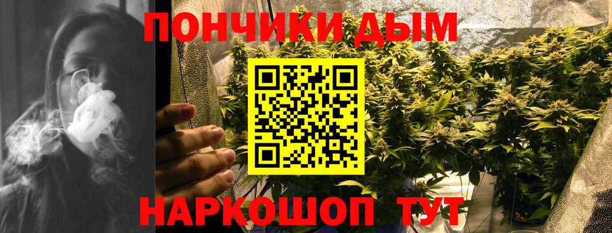 Шишки марихуана тримм Гурьевск